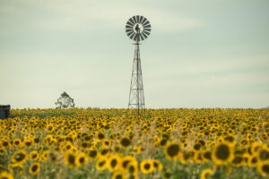 Oryginalne życzenia urodzinowe, których nikt się nie spodziewa